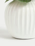Marks & Spencer "Artificial Flower Arrangement in Ceramic Pot"